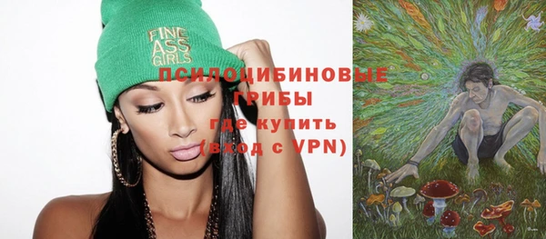ECSTASY Ладушкин